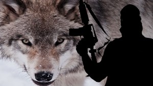 lone-wolf-terrorists1